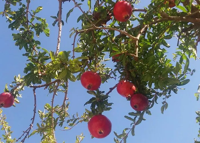 Villa Onirozo Private Koróni